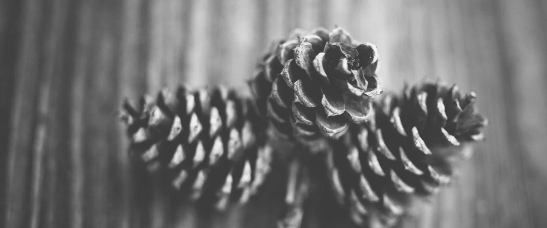 El futuro del gaming móvil